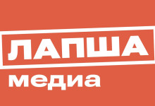 правда или фейк - фото - 1