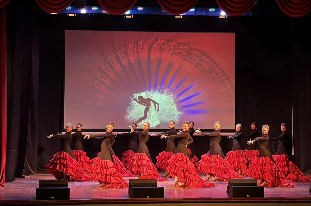 аплодисменты, яркие эмоции и энергетика танцоров - фото - 5